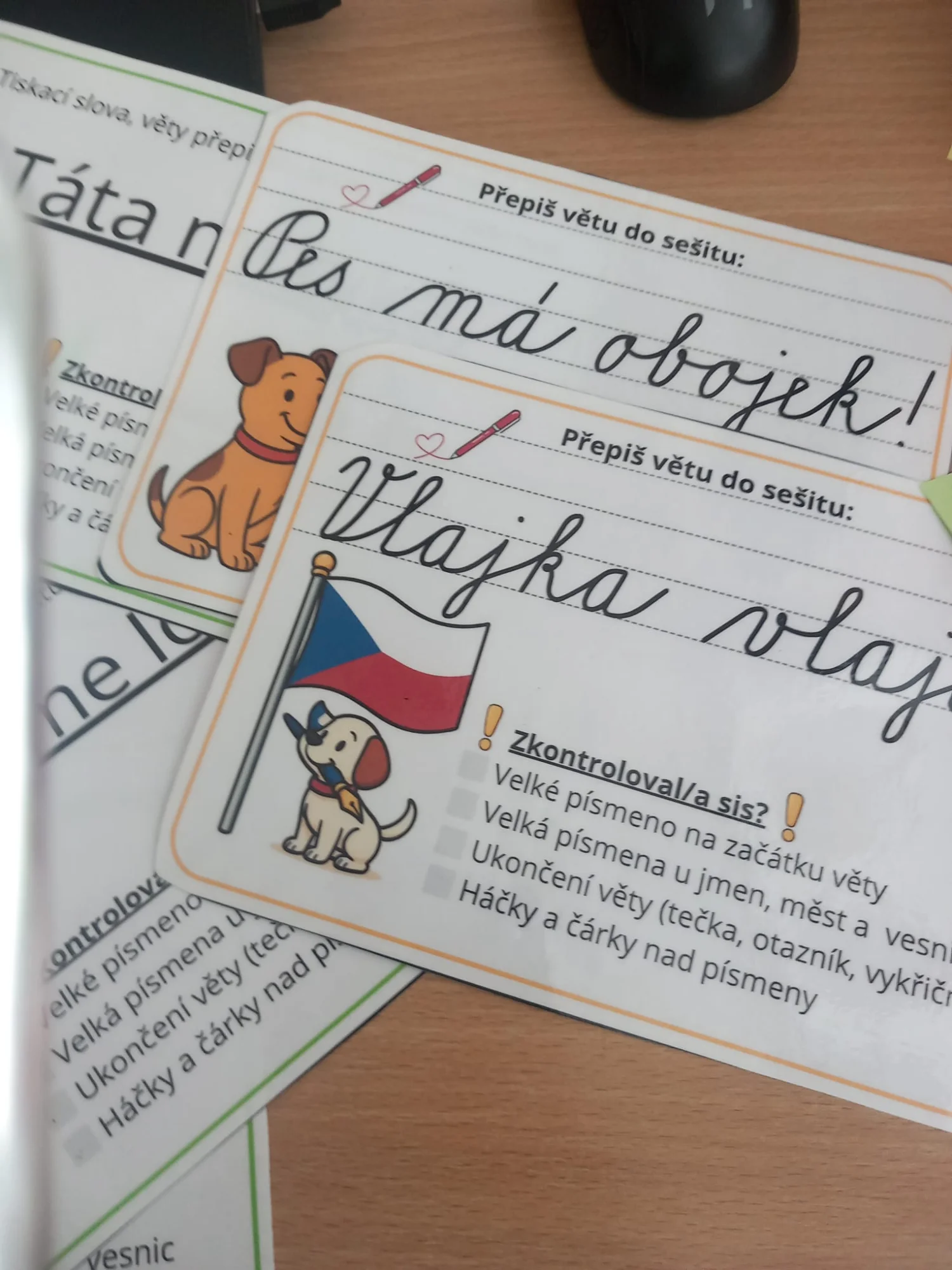 PŘEPISOVACÍ KARTY – náhled 5